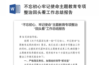 不忘初心牢记使命主题教育专项整治回头看工作总结报告