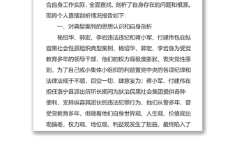 公安局副局长“巡视整改”“以案促改”及纪律作风建设民主生活会剖析材料