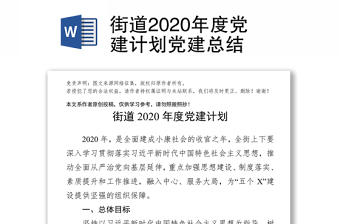 街道2020年度党建计划党建总结