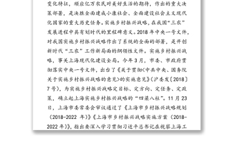 关于本市乡村振兴战略规划及实施方案相关情况