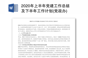 2020年上半年党建工作总结及下半年工作计划(党政办)