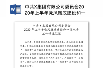 上半年从严治党一岗双责履职情况汇报