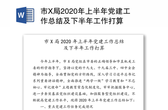 市X局2020年上半年党建工作总结及下半年工作打算