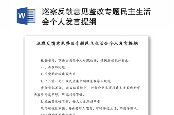 巡察反馈意见整改专题民主生活会个人发言提纲