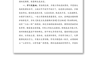 乡镇党委书记、镇长工作交流发言材料（12篇）
