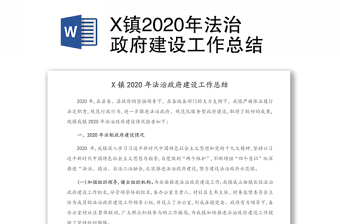 X镇2020年法治政府建设工作总结