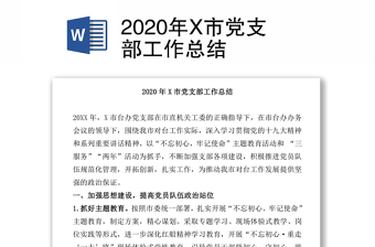 2020年X市党支部工作总结