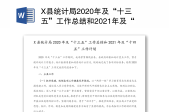 X县统计局2020年及“十三五”工作总结和2021年及“十四五”工作计划