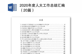 2020年度人大工作总结汇编（20篇）
