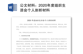 公文材料：2020年度组织生活会个人剖析材料