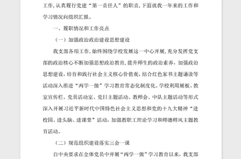 2021年学校支部度基层党建述职报告