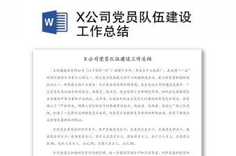 X公司党员队伍建设工作总结