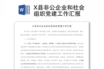 X县非公企业和社会组织党建工作汇报