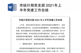 市统计局党支部 2021年上半年党建工作总结