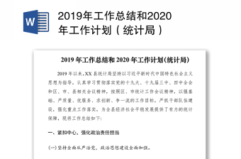2019年工作总结和2020年工作计划（统计局）