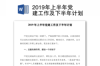 2019年上半年党建工作及下半年计划