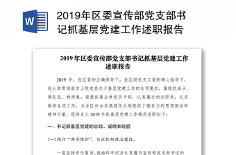 2019年区委宣传部党支部书记抓基层党建工作述职报告