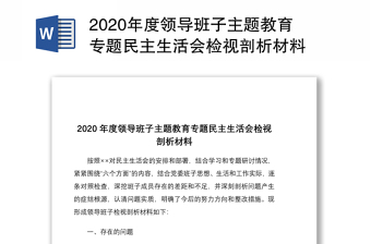 2020年度领导班子主题教育专题民主生活会检视剖析材料