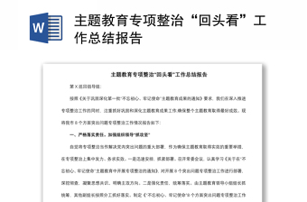 2021主题教育专项整治“回头看”工作总结报告