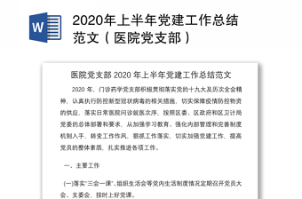 2025党建总结ppt范文