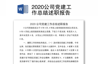 2020公司党建工作总结述职报告