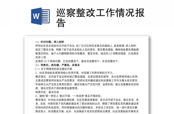 巡察整改工作情况报告