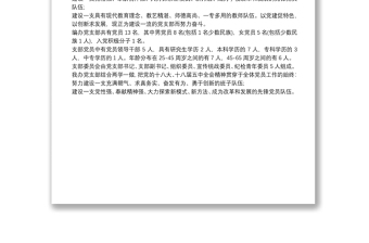 党支部基本情况怎么写3篇