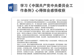 中国共产党领导国家安全工作条例全文ppt