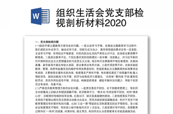 组织生活会党支部检视剖析材料2020