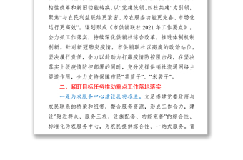 市供销联社党组书记、理事会主任在年终工作总结会议上的讲话