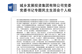 城乡发展投资集团有限公司党委党委书记专题民主生活会个人检视剖析材料