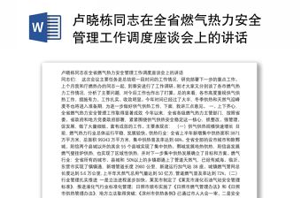 卢晓栋同志在全省燃气热力安全管理工作调度座谈会上的讲话