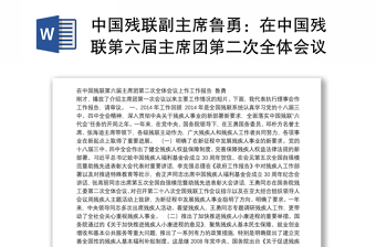 中国残联副主席鲁勇：在中国残联第六届主席团第二次全体会议上作工作报告