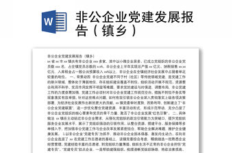 非公企业党建发展报告（镇乡）