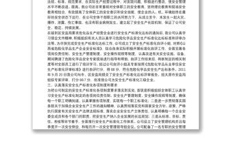 安全生产标准化总结.doc