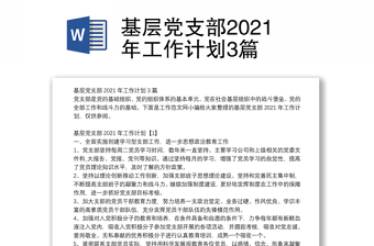 基层党支部2021年工作计划3篇