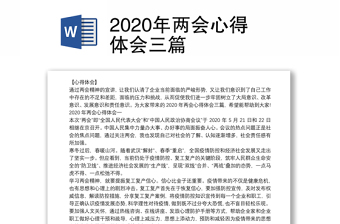 2020年两会心得体会三篇