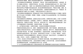 在党支部换届大会上的工作报告