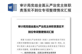 审计局党组全面从严治党主体职责落实不到位专项整理情况汇报