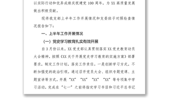 支部班子党史学习教育组织生活会对照检查（含上半年总结）