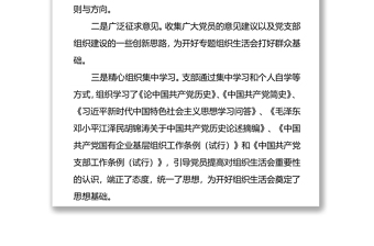 党史学习教育专题组织生活会会前准备情况汇报