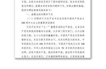 局党支部书记2021年专题组织生活会检视剖析材料