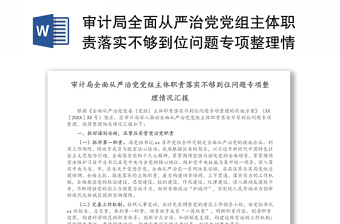 审计局全面从严治党党组主体职责落实不够到位问题专项整理情况汇报