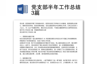 党支部半年工作总结3篇