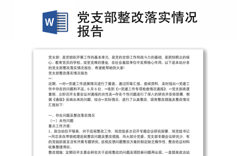 党支部整改落实情况报告