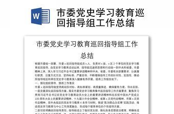 市委党史学习教育巡回指导组工作总结