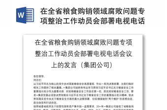 在全省粮食购销领域腐败问题专项整治工作动员会部署电视电话会议上的发言（集团公司）