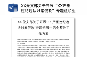 XX党支部关于开展“XX严重违纪违法以案促改”专题组织生活会整改工作方案