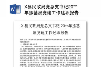 X县民政局党总支书记20**年抓基层党建工作述职报告