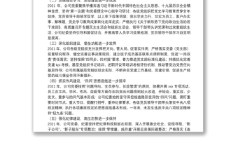 国有企业政治生态分析报告